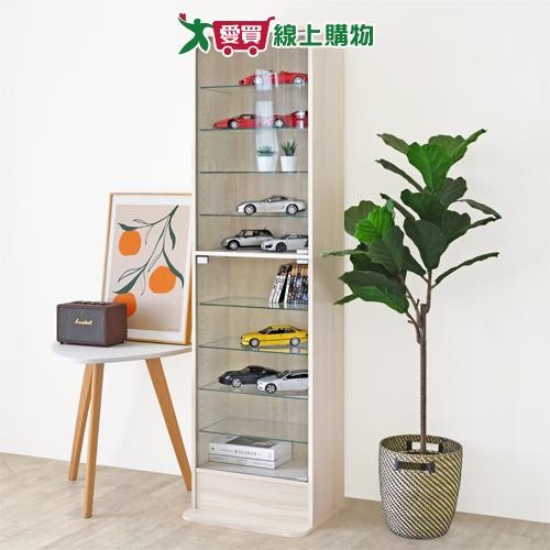 HOPMA 美背模型公仔全玻璃展示櫃 G-GS888【廠商直送 限單獨下單】台灣製造 儲藏書櫃 玄關置物【愛買】