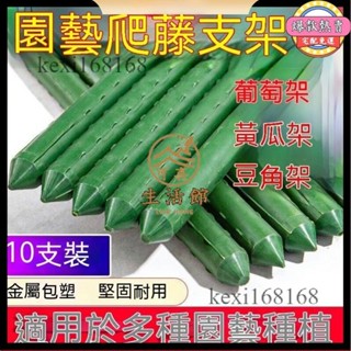 免運🚛園藝花架管 花盆支撐桿 固定支柱 爬藤支架 包塑鋼管 爬藤架 花架陽臺落地式 植物架 花器 花架