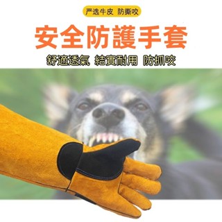 臺灣出貨👌防抓手套 防咬 防抓 抓貓手套 貓咪防咬 貓咪防抓 寵物防咬 狗狗防咬 防貓咬 加厚 防貓抓手套 防咬手套
