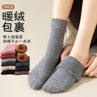 網紅女秋冬季加厚襪子 毛圈襪中筒襪子 加絨加厚保暖女厚襪子 潮流長襪女生學生日系簡約款 女生飾品 日用品 襪子 毛圈襪子