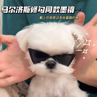 《現貨下單》馬爾濟斯修勾同款墨鏡可愛耍酷狗狗三角墨鏡貓狗擺拍道具寵物配飾 小動物造型眼鏡 防風沙狗狗墨鏡