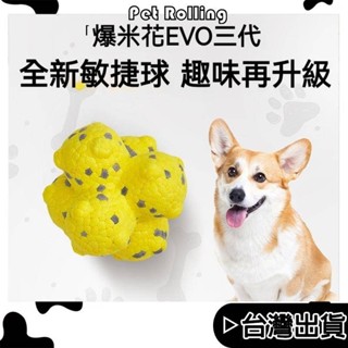 🔥臺灣現貨🔥【Pet Rolling】狗狗玩具球 耐咬磨牙玩具 寵物玩具 實心玩具球 小中大型犬 訓練互動玩具球 高回彈