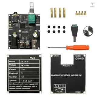 Zk-301b 便攜式 SingleTrack 30W 音訊放大器板緊湊型 BT5.3 單聲道音訊放大器板帶真無線匹配盒