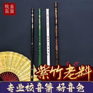 【免運】洞簫 短簫樂器 初學專業高檔紫竹洞簫 六古風入門零基礎洞簫 八孔GF調便攜玉蕭 龍鳳四色一節蕭