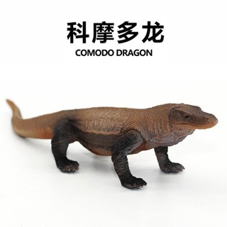 ♚樂樂屋♚野生動物模擬模型科摩多龍實心靜態塑膠蜥蜴手辦巨蜥擺件玩具