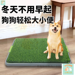 🐱本町🐱（臺灣優選）狗狗厠所 大號模擬草坪 中小型犬專用防水尿盆 寵物可清洗防踩屎便盆 犬便盆草皮 狗廁所草皮 狗墊