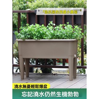 🔥下殺價🔥 陽臺種植箱 新款 種植盆高腳長方形花盆 種植箱 飼養箱 蔬菜種植箱 特大種菜箱 長方形花盆 花盆