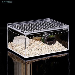 GIOVANN爬行動物繁殖箱,透明透氣蜥蜴玻璃容器棲息地,防止逃生爬行動物孵化玻璃帶孔蜥蜴飼養籠