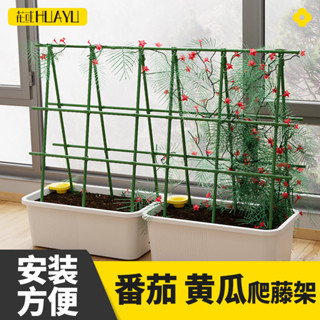 附發票~ 花卉支撐桿 玫瑰爬藤架 番茄黃瓜西紅柿爬藤架 植物陽臺花架 爬藤支架 種菜架桿 花支撐桿架子