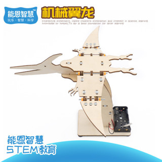 🌈能恩智慧 中小學生科技小製作無齒翼龍模型材料包DIY仿生恐龍模型STEAM教育