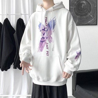NANS 臺灣現貨 連帽外套 衛衣男秋季款寬鬆2024新款連帽男士衛衣潮流帥氣秋冬款男生衛衣