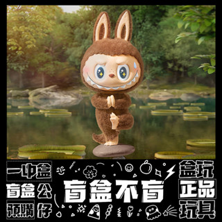 【盲抽不盲】LABUBU 慵懶瑜伽 系列 盲抽 禮物 擺件 盒玩 公仔 泡泡瑪特 POPMART 一中盒 隱藏款 很正式