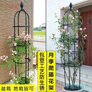 附發票~ 園藝爬藤架 花架 花架爬藤架 戶外月季攀爬鐵線蓮支架 植物固定藤架 花盆花柱藤本架子
