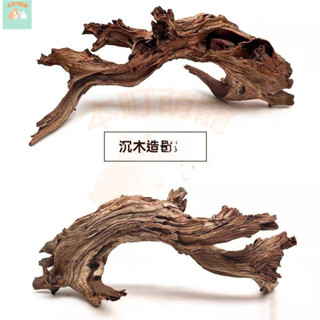 現+免運|臺灣出貨 天然枯木樹枝沉木造景 爬寵 蜥蜴守宮躲避屋 樹脂洞穴 守宮屋 躲藏 躲避屋 瘤尾守宮 石龍子