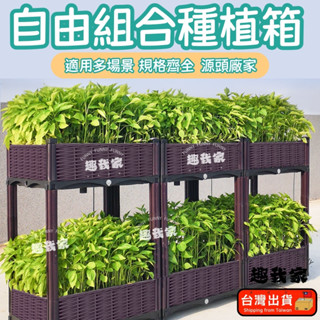 🔥臺灣12H出貨🔥種植箱 飼養箱蔬菜種植箱 特大種菜箱 長方形花盆 組閤式種植盆 陽臺種菜盆 陽臺樓頂種菜神器DIY高度