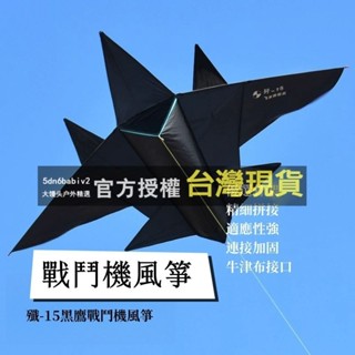 兒童風箏 小風箏 親子游戲 造型風箏 易飛風箏 兒童新款飛機風箏 成人兒童卡通黑戰鬥機高檔大型風箏 殲-15黑鷹戰鬥機