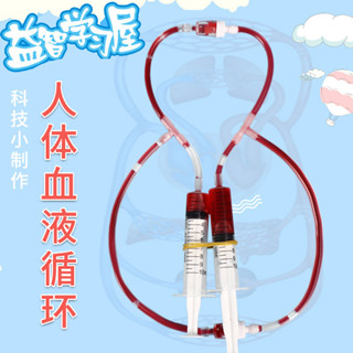 🌈小頑童 steam 科學小實驗 diy 小學生物器材手工DIY人體血液迴圈模型幼兒園科技小製作