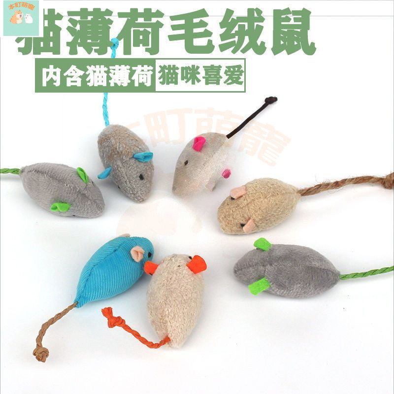 現+免運|臺灣出貨 貓薄荷絨毛小老鼠 老鼠玩偶 貓玩具 仿真毛絨小老鼠貓玩具 仿小老鼠 仿真鼠玩具 啃咬玩具 逗貓玩