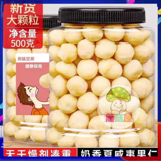 蘑菇屋 夏威夷果仁大罐裝500g 奶香無殼夏威夷果仁 堅果零食 無新增 孕婦兒童零食 奶香味濃鬱 營養零食 夏威夷果仁