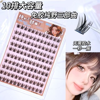 🎀臺灣現貨🎀 BQI-5D嬰兒彎 免膠假睫毛 媽生款漫畫 單簇分段 輕盈自然 三部曲大容量 學生黨 新手適用