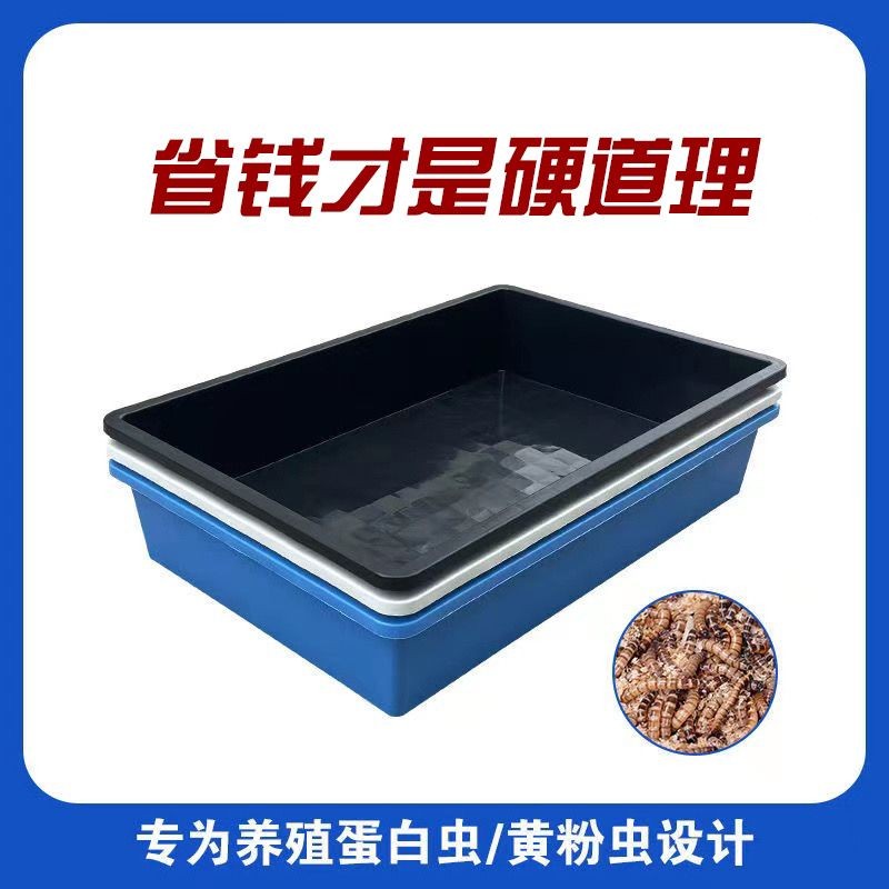 黃粉蟲水產養殖箱 加厚塑料收納箱 特大號長方形周轉箱 防漏塑膠筐 多層堆疊周轉箱 耐磨耐摔養殖筐