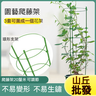 【山丘批發】園藝植物支架 植物支撐 植物支撐桿 盆栽支撐架 盆栽支架 爬藤支架 花盆支架 蘭花支架 園藝支架 蝴蝶蘭支架