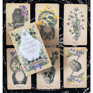 臺灣發貨-古典解剖塔羅牌 發貨 The Antique Anatomy Tarot 英文訂製卡牌 魔法佔卜 神諭卡