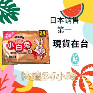 小白兔 臺灣現貨速出 桐灰暖暖包 恐龍購物 冬天必備 小林桐灰 貼式 輕薄貼式 鞋墊 襪式 手握 日本製