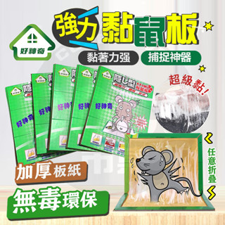 臺灣隔日達 好神奇 黏鼠板 特大片黏鼠板 強力黏鼠板 滅鼠 除鼠 捕鼠板 粘鼠板 黏鼠寶 老鼠板 老鼠貼 抓老鼠 捕鼠貼