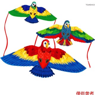 3 件裝兒童鸚鵡風箏玩具卡通動物風箏三維三維