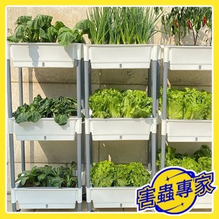 可開發票🔥種植箱 種菜箱 陽臺種菜 種菜推車 可組裝攀爬架 種菜盆 花盆推車 種菜箱 長條盆 菜盆 栽培箱 YJ76