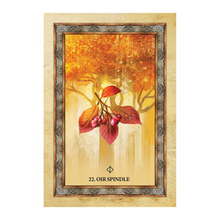 【現貨】進口 凱爾特之樹神諭卡 Celtic Tree Oracle