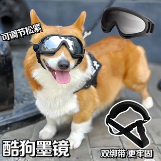 《現貨下單》狗狗眼鏡護目鏡狗專用墨鏡小狗寵物防風鏡可愛搞笑拍照個性帥氣機車兜風飾品造型眼鏡 狗狗護目鏡