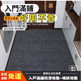 臺灣出貨 客廳地毯臥室地毯耐髒 吸水地墊 刮泥地墊 地墊 地墊玄關 地毯 塑膠地墊 止滑地墊 絲圈地墊 玄關 腳踏墊