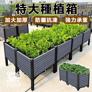 【免運】種花盆 大花盆栽架 種植盆 種菜箱 花器 可自由組裝 盆 樓頂菜園裝置 園藝種菜 陽臺蔬菜種植箱 植物盆 TQH