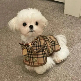 小型犬風衣 四季防掉毛寵物外套 寵物衣服 狗狗英倫風衣