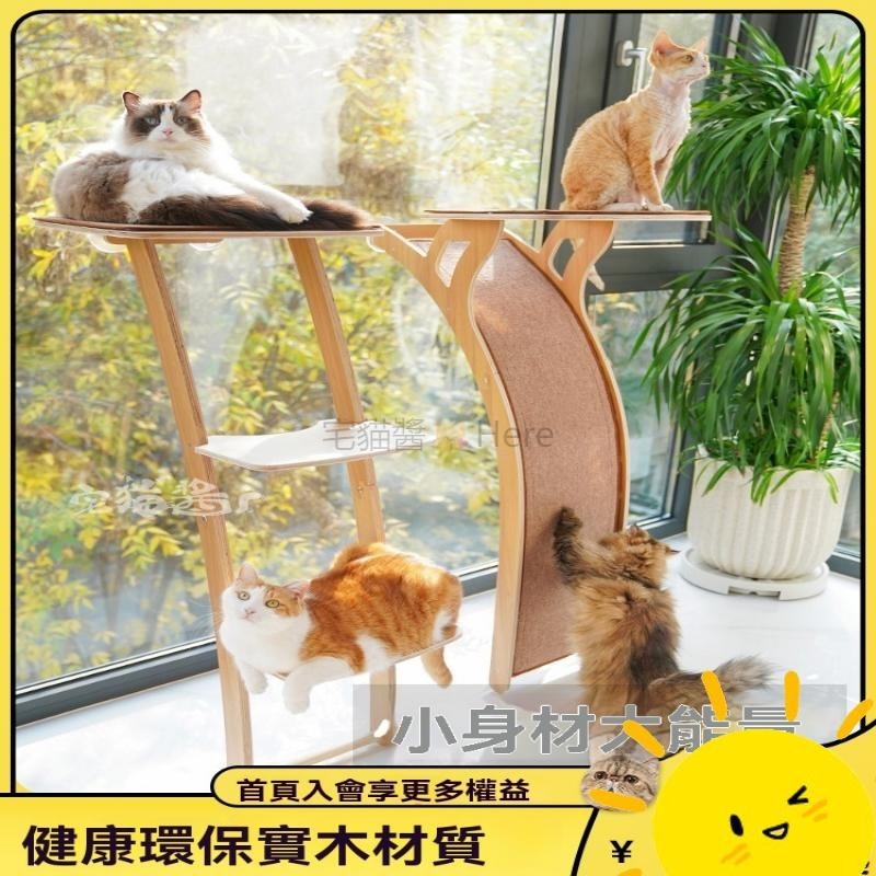 【限時免運】宅猫醬 觀景台猫爬架吸盤猫窩猫樹一體用品大型實木猫跳臺 壁挂式貓爬架 貓咪玩具 貓抓柱 免打孔 吸盤貓爬架