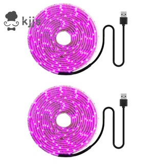 2x LED 植物生長燈全光譜 5V USB 植物燈條 2835 LED 植物燈,用於植物溫室生長 100 釐米