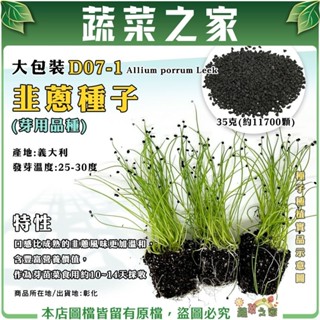 【蔬菜之家滿額免運】大包裝D07-1.韭蔥種子35克(約11700顆)(芽用品種)