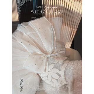 👑新秀工藝 華·道夫·婚紗 新娘裝馬爾濟斯禮服比熊小體狗布偶貓咪公主裙子春秋裝