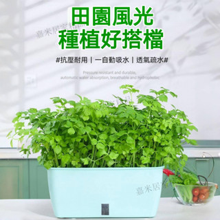 新款加厚種菜盆陽臺自動吸水花盆戶外屋頂蔬菜種植箱 雙層 免灌溉 懶人種花 家用水培箱 內建隔板 水土分離 排水透氣 防摔
