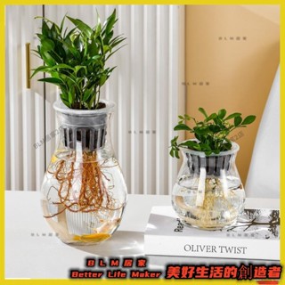 2水耕瓶 水耕花器 水耕盆栽 水培植物瓶 花器 水耕籃 魚菜共生 水耕植物 居家佈置 龜背芋DIYBLM07