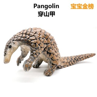 ♚樂樂屋♚模擬實心兒童野生動物模型塑膠兒童玩具套裝穿山甲擺件早敎玩偶