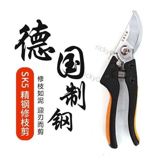 🔥台灣出貨🔥進口SK5鋼修枝剪 園林果樹剪刀 粗枝花剪 省力樹枝修花園藝剪刀