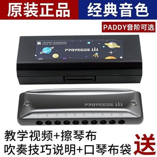 【精品樂器】【96%好評率】ProReeds十孔paddy佈魯斯藍調口琴兒童成人初學10孔口琴Boogieman