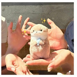 臺灣出貨 amuse可愛 小水獺 抱魚 毛絨 玩偶 掛件 公仔 禮物 禮物 書包掛件 吊飾 配飾 包包 可愛 創意 禮物