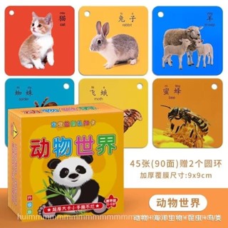 ✨兒童早敎卡 益智學習卡片 寶寶啟懞認知 卡動物卡片 幼兒五官數字卡片 童學習卡片 蔬果 風車 圖卡 C6WL