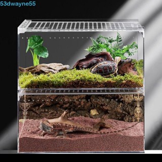 DWAYNE爬行動物繁殖箱,透明亞克力蜥蜴玻璃容器棲息地,透氣防止逃生帶孔蜥蜴飼養籠