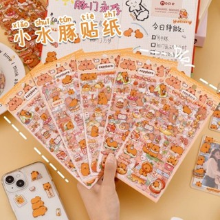 6pcs/包 卡皮巴拉PET貼紙 Capybara手賬裝飾素材 卡通水豚DIY小貼畫