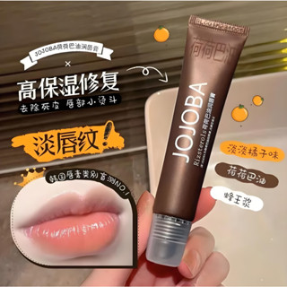 Jojoba韓版唇油護唇膏 潤唇膏 唇膜唇部去角質護唇膏高保濕濕潤護唇膏唇部保養 滋潤唇部護唇油 荷荷芭油 保濕滋潤護唇